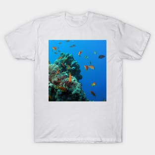 Red Sea Coral Reef T-Shirt
